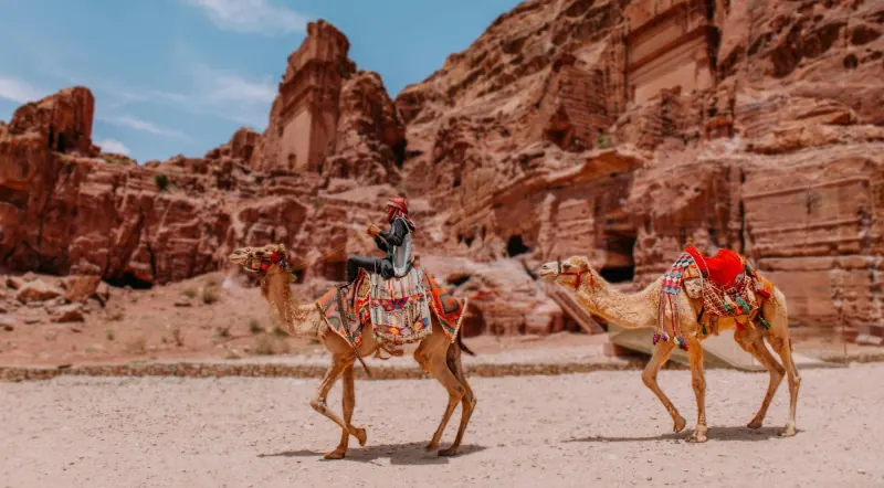 Camels walking past Petra's rock-cut tombs on the valley floor